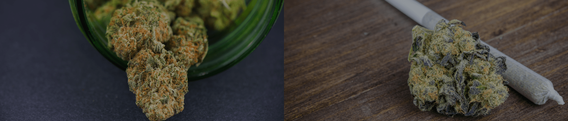 can you buy juul pods at walmart Vibez Smoke Shop # 3 (Cigars, Vape & CBD) - Reviews, Photos & Phone Number  - Updated May 2026 - Specialty Shops in Temecula City, Riverside County
